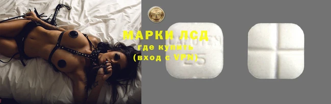 гашик Алзамай