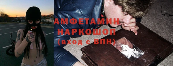 шишки Армянск