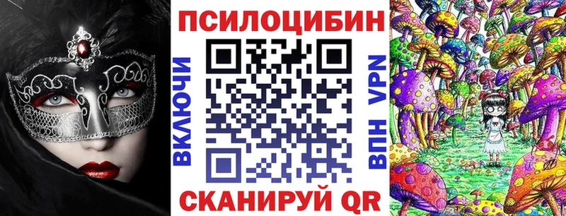 Псилоцибиновые грибы мицелий  Купить  Балабаново 